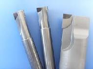 Coir Fiber