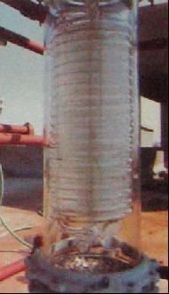 Coir Fiber