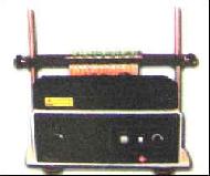 Coir Fiber