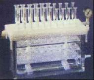 Coir Fiber