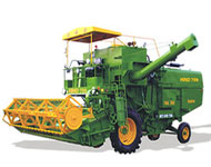 Coir Fiber