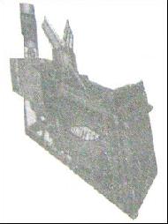 Coir Fiber