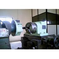 Coir Fiber