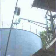 Coir Fiber