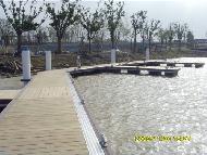 Coir Fiber