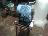 Coir Fiber