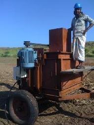 Coir Fiber