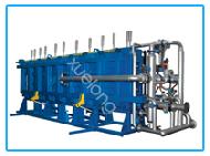 Coir Fiber