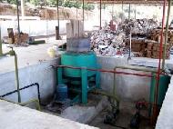 Coir Fiber