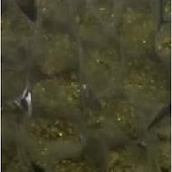 Coir Fiber