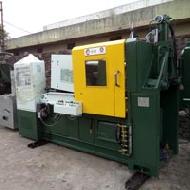 Coir Fiber