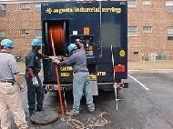 Coir Fiber