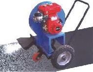 Coir Fiber