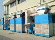 Coir Fiber