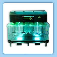 Coir Fiber