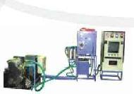 Coir Fiber