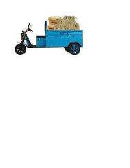 Coir Fiber
