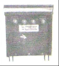 Coir Fiber