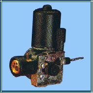 Coir Fiber