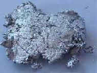 Coir Fiber