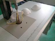 Coir Fiber