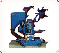 Coir Fiber