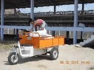Coir Fiber