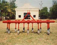 Coir Fiber