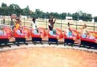 Coir Fiber