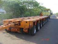 Coir Fiber