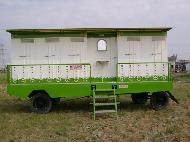 Coir Fiber