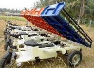 Coir Fiber