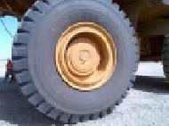 Coir Fiber