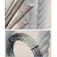 Coir Fiber