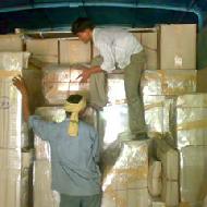 Coir Fiber