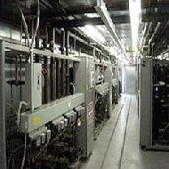 Coir Fiber