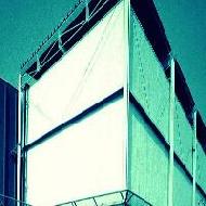Coir Fiber