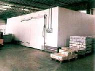Coir Fiber