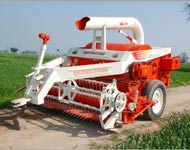 Coir Fiber