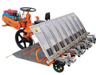 Coir Fiber