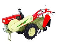 Coir Fiber