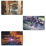 Coir Fiber
