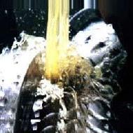 Coir Fiber