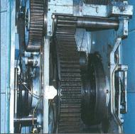 Coir Fiber