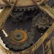 Coir Fiber