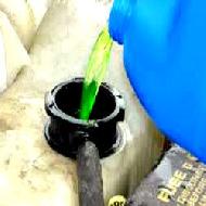 Coir Fiber