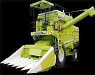 Coir Fiber