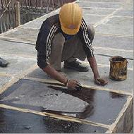 Coir Fiber