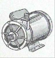Coir Fiber