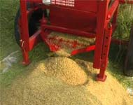 Coir Fiber